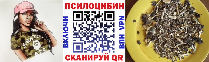 Купить  Коряжма  Галлюциногенные грибы Psilocybe 